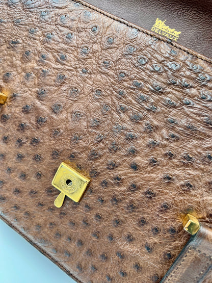 Delvaux ostrich 1976 shoulder/top handle bag