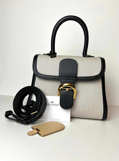 Delvaux Brillant PM canvas