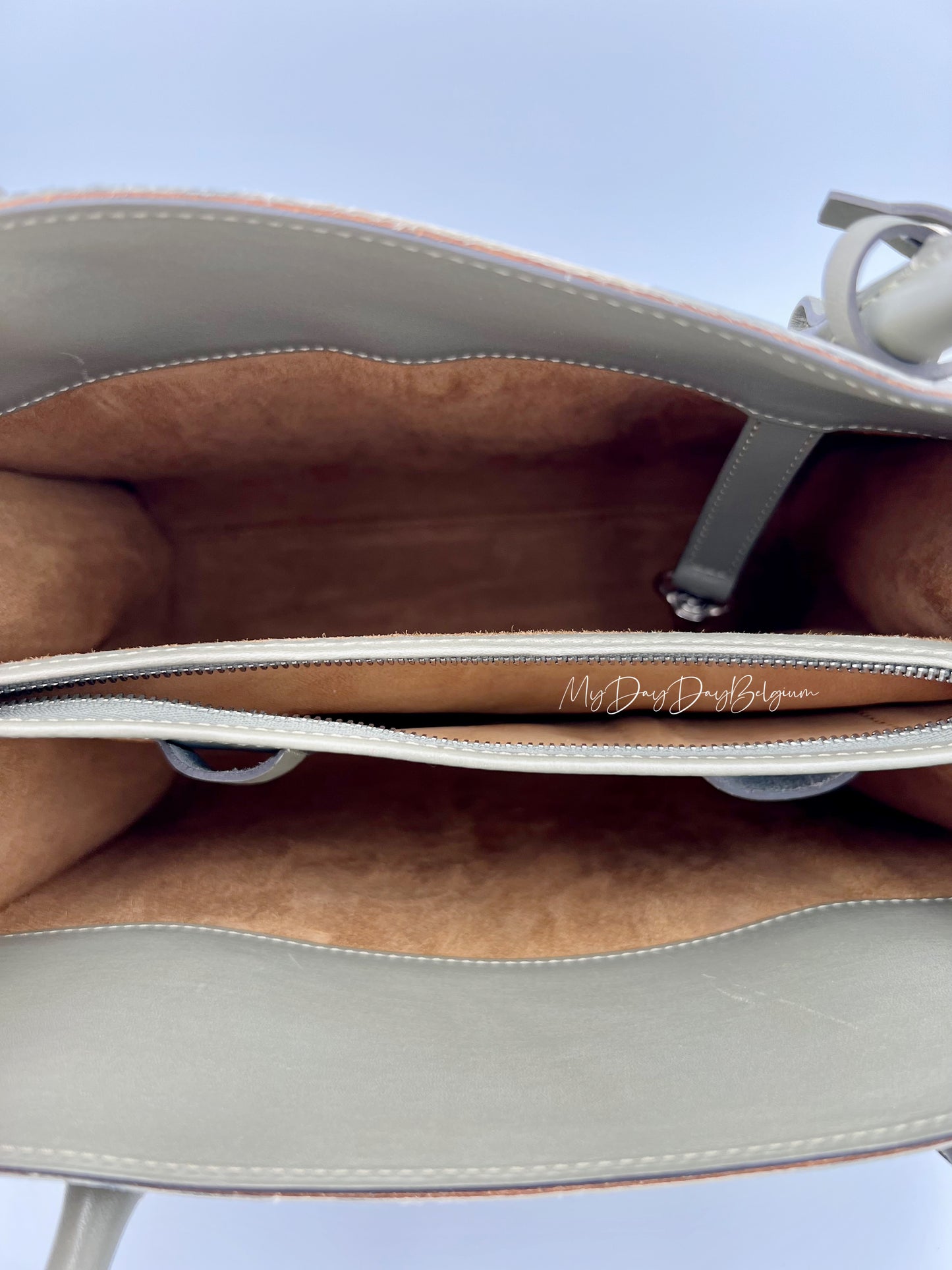 Vintage Delvaux Sepia limited edition 2002