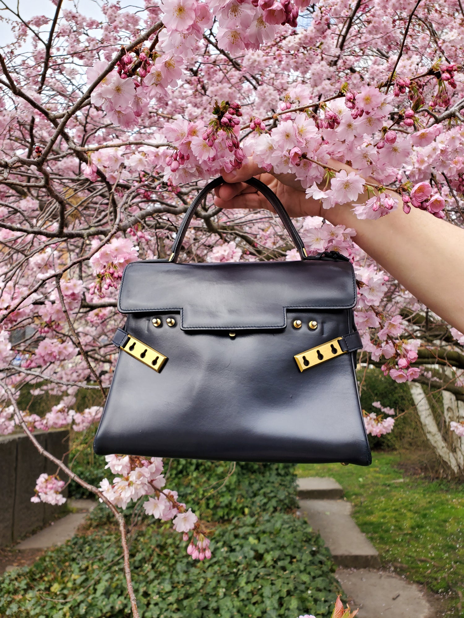 Delvaux Leather Bag 