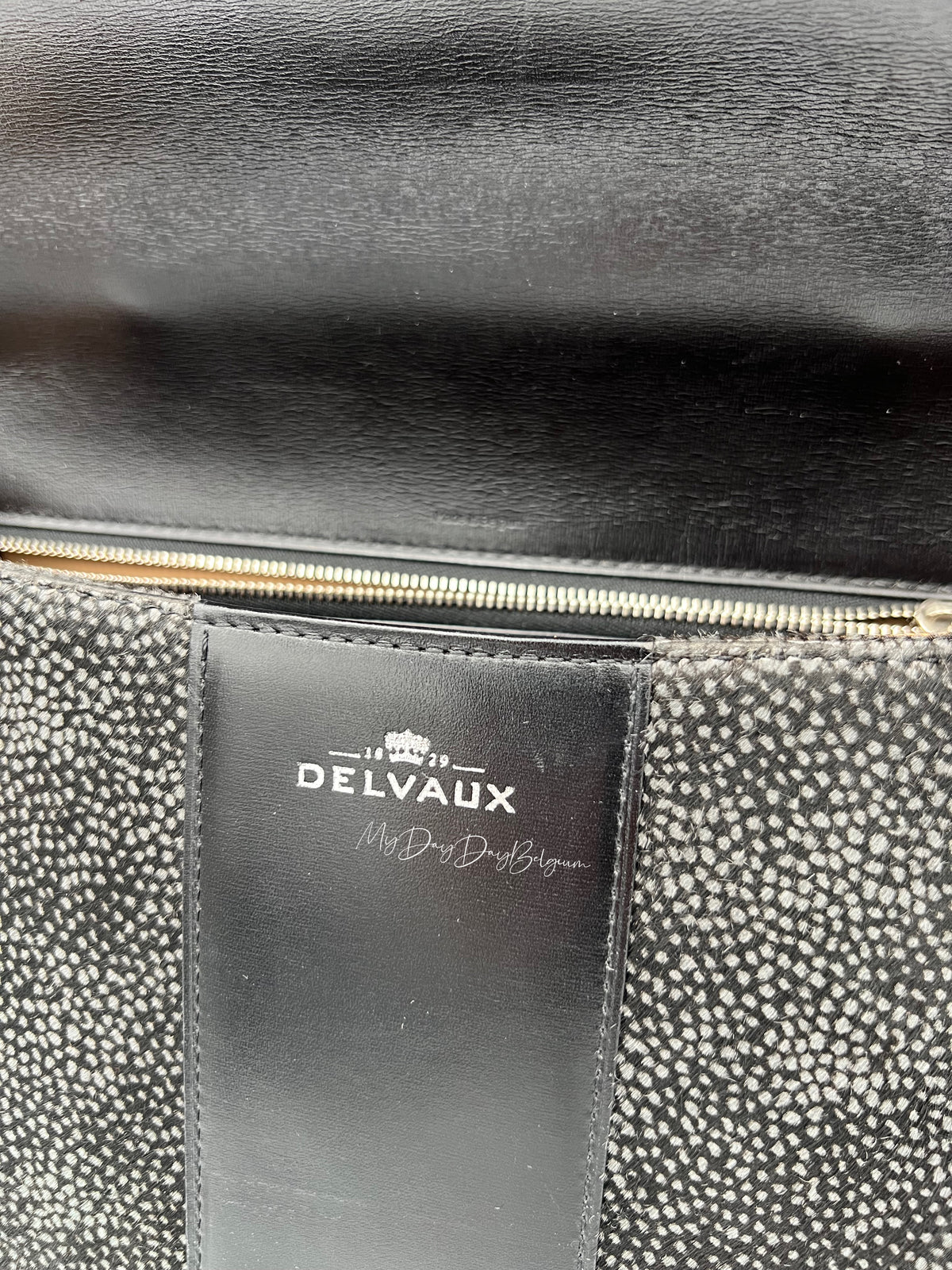 Delvaux Brillant East West 2018