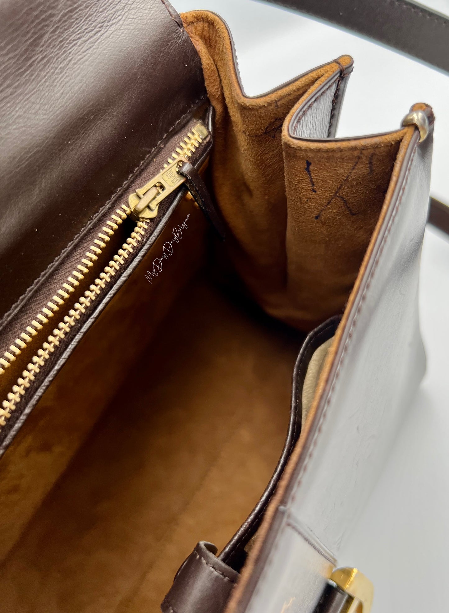 Delvaux Brillant MM in brown