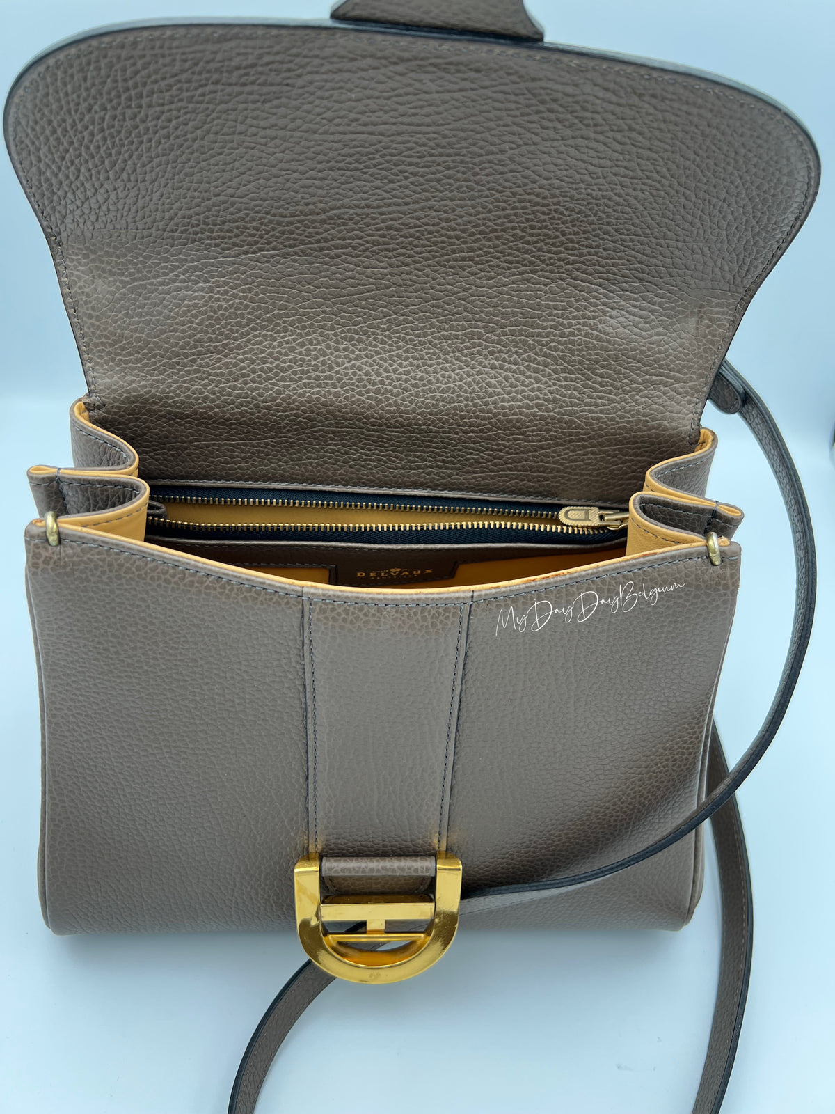 Vintage Delvaux Brillant in Taupe PM early 90s