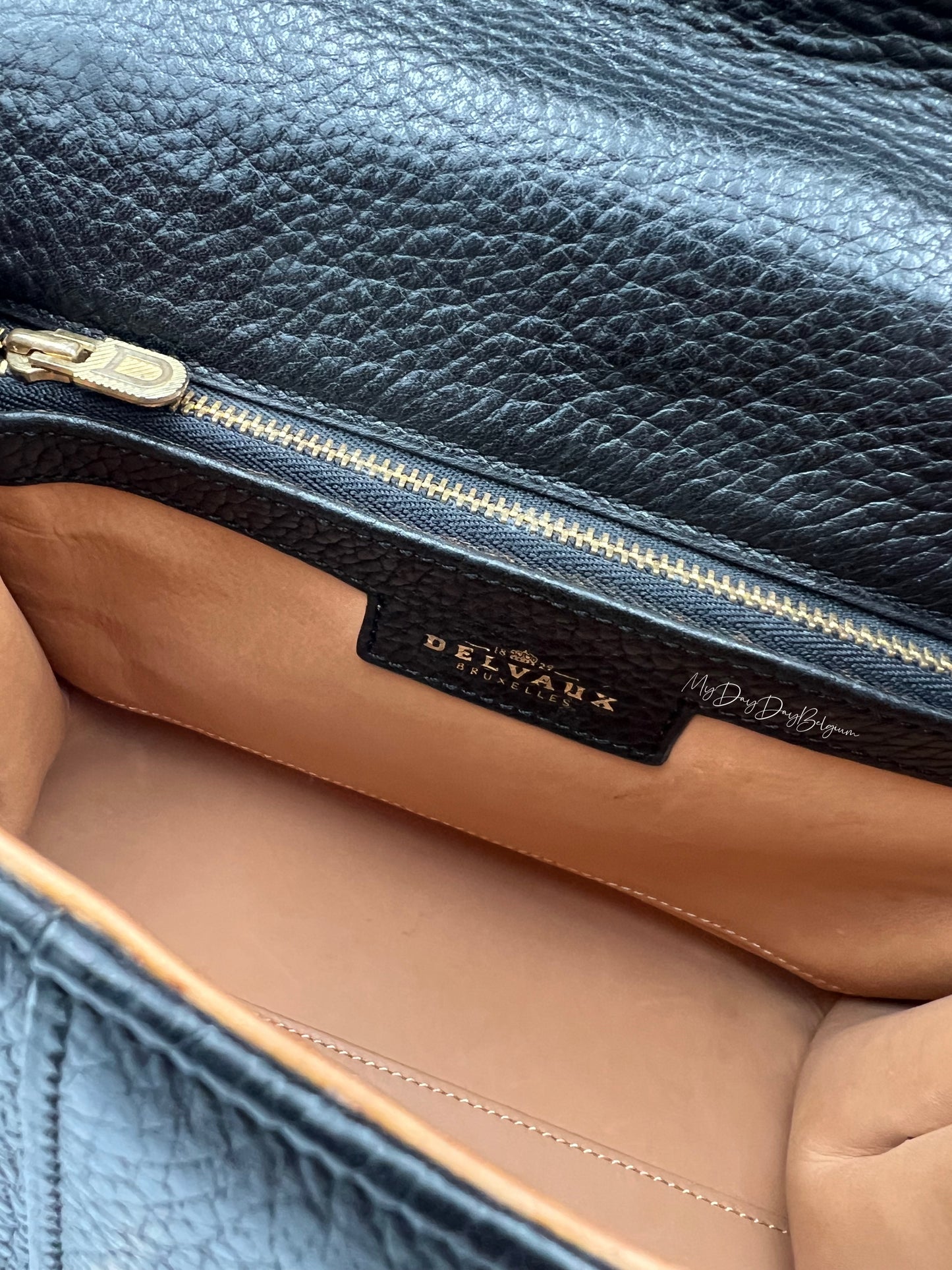 Delvaux Brillant PM in black