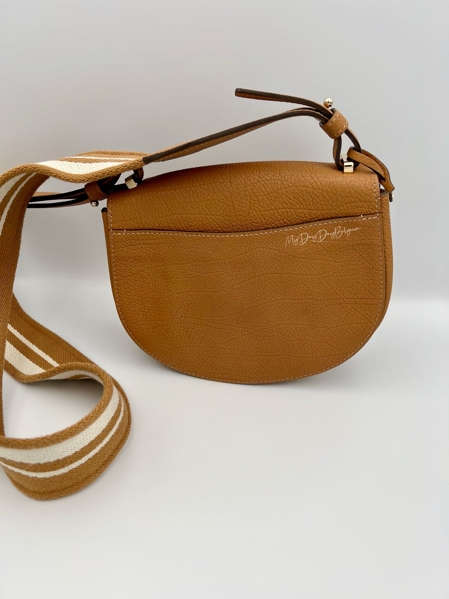 Delvaux Mutin mini crossbody bag crispy calf vegetal 2018