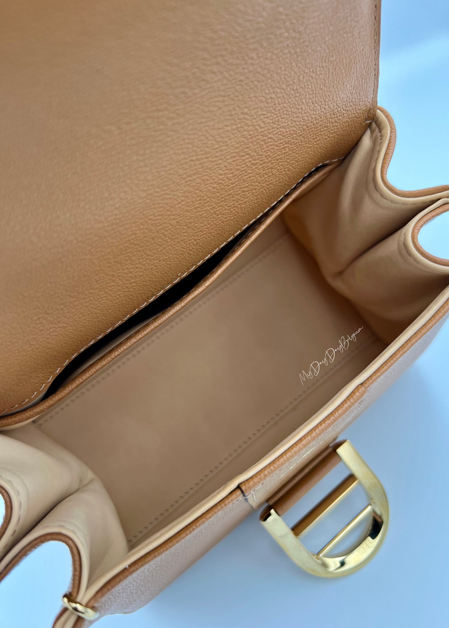 Delvaux Brillant Mini