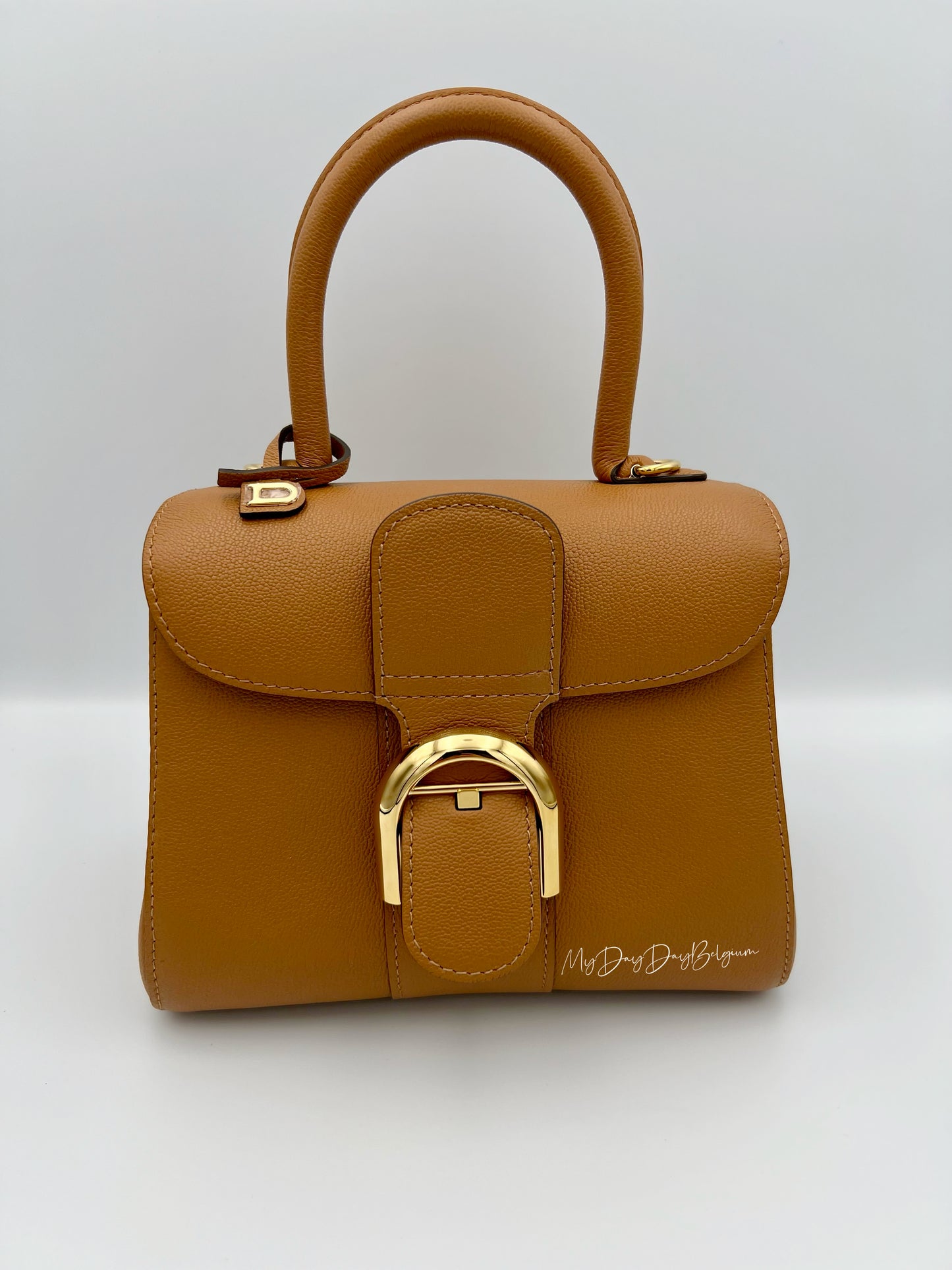 Delvaux Brillant Mini
