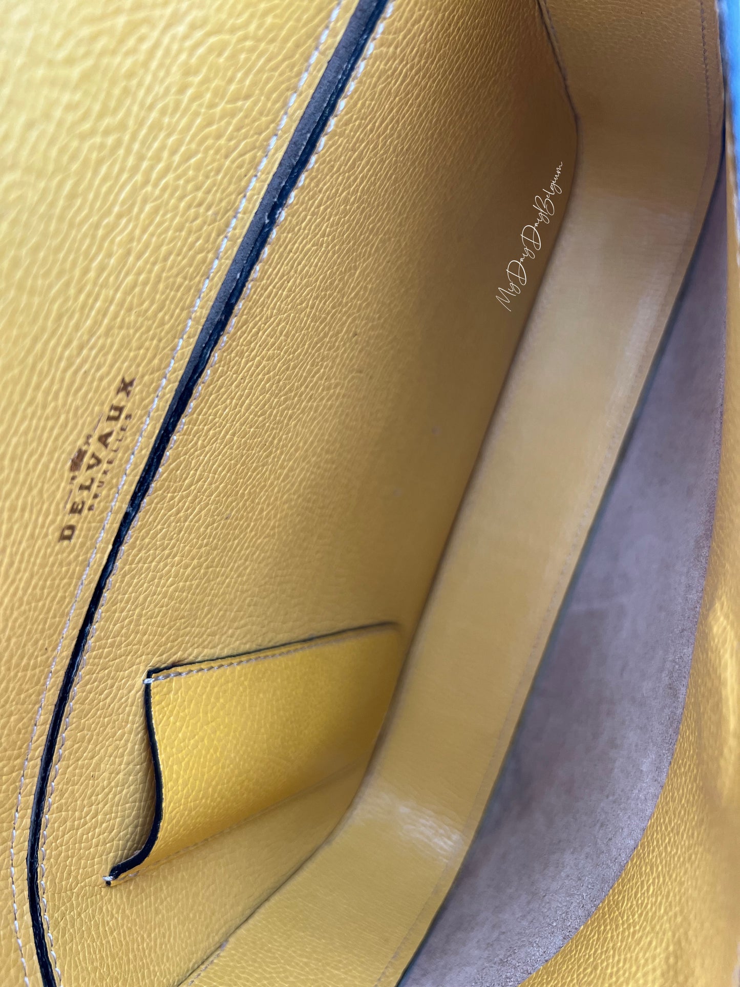 Delvaux crossbody in jumping leather pollen colour 1980s
