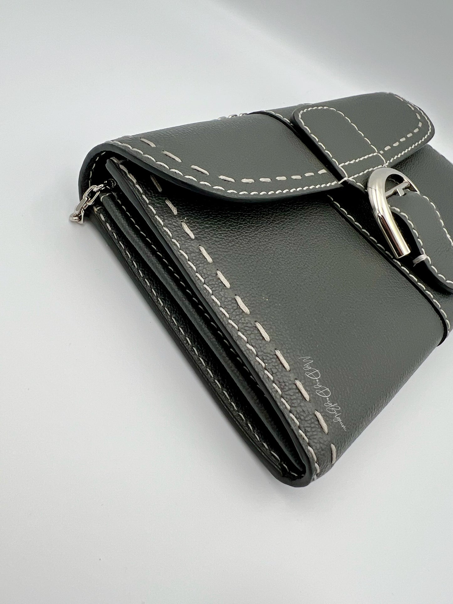 Delvaux Brillant Wallet on Chain Crossbody / Shoulder Bag stone 2023