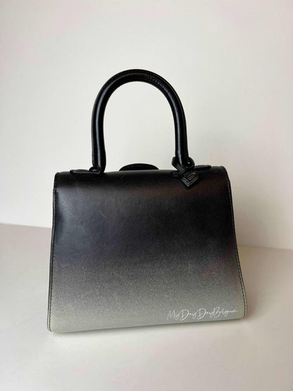 Delvaux Brillant mini
