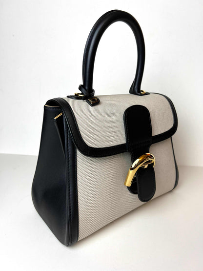 Delvaux Brillant PM canvas