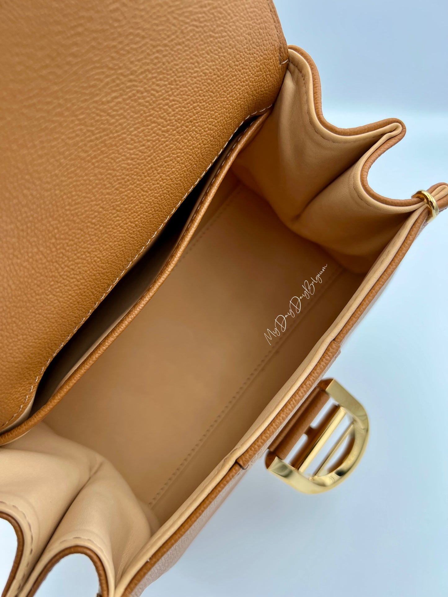 Delvaux Brillant Mini