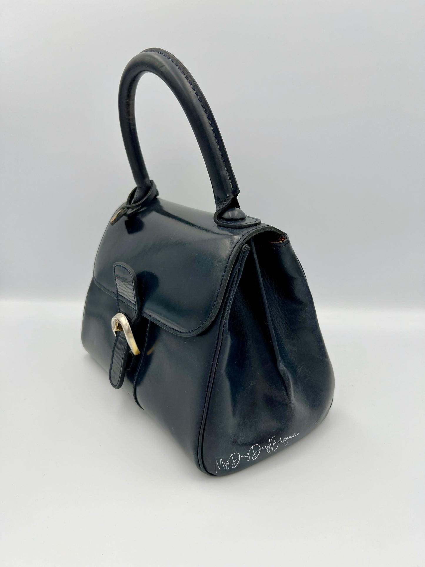 Vintage Delvaux Brillant 1966 special edition