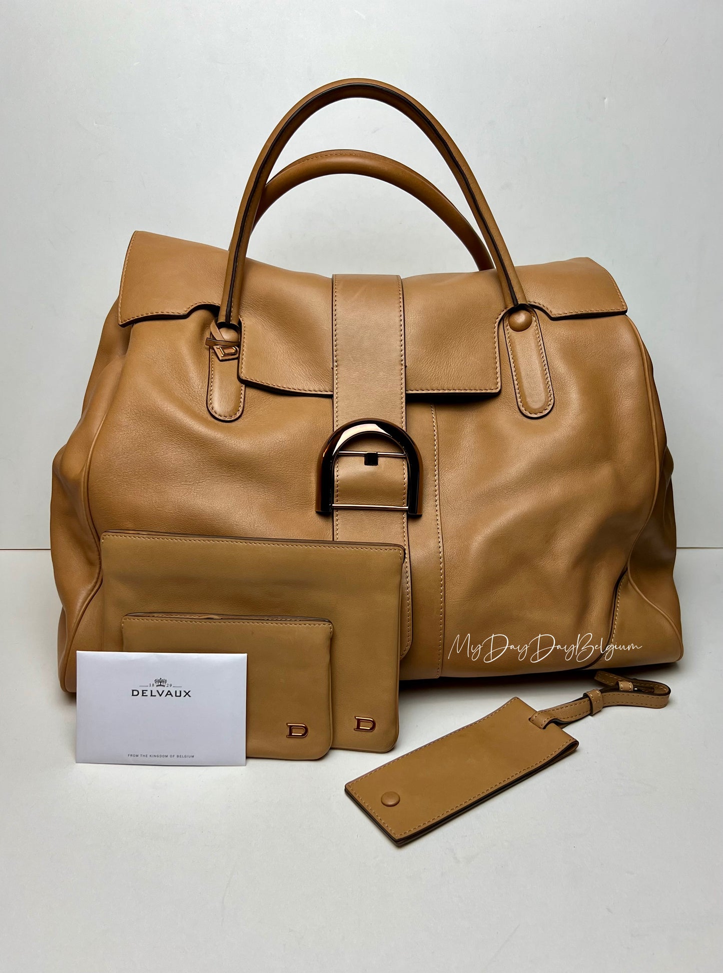 Delvaux Brillant XXL 2021 Végetal colour