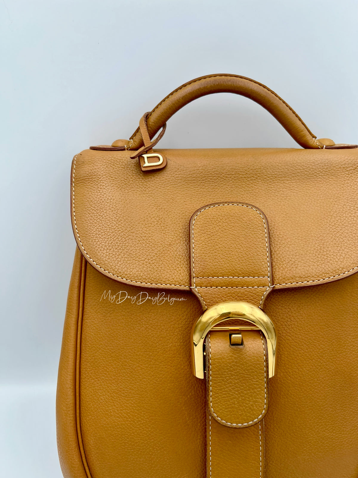 Delvaux Cristal de Roche Trotteur fauve Rucksack 2002