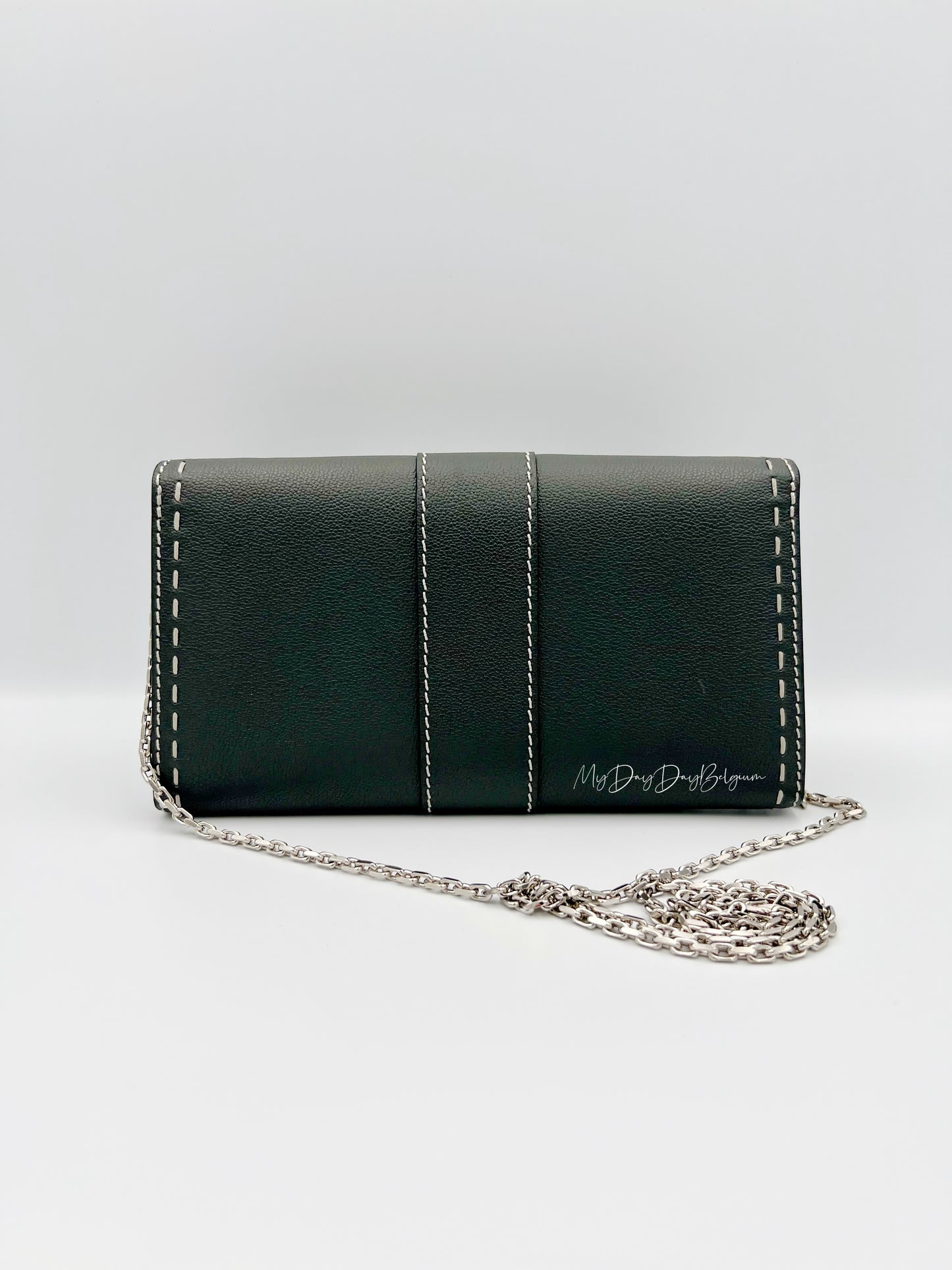 Delvaux Brillant Wallet on Chain Crossbody / Shoulder Bag stone 2023