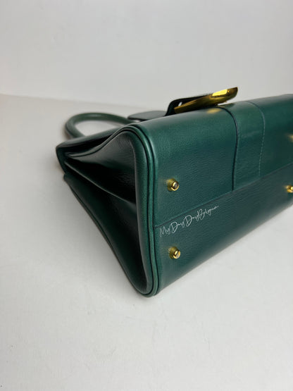 Delvaux Brillant PM in Pine
