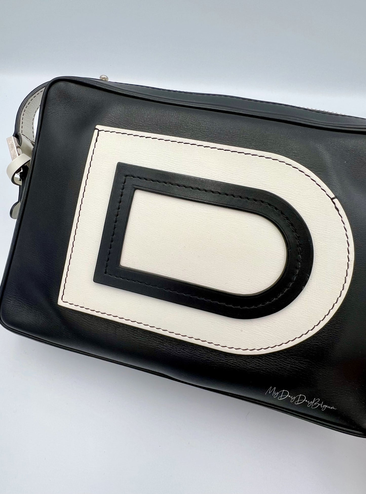 Delvaux Louise crossover camera bag 2015