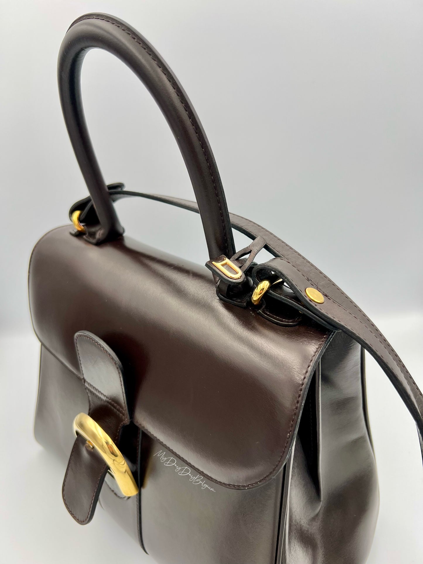 Delvaux Brillant MM in brown