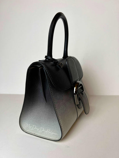 Delvaux Brillant mini