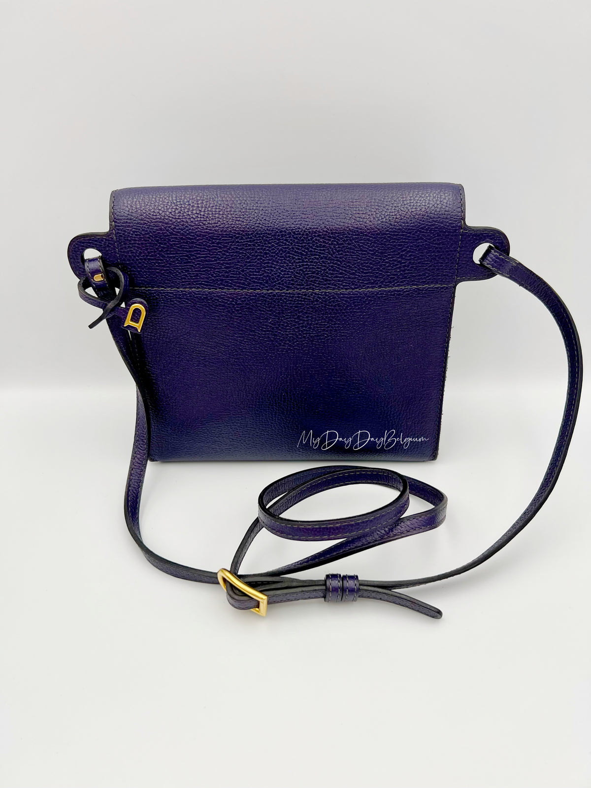 Delvaux Grêlon vintage Crossbody / Shoulder Bag from 1999 in green toile de cuir leather