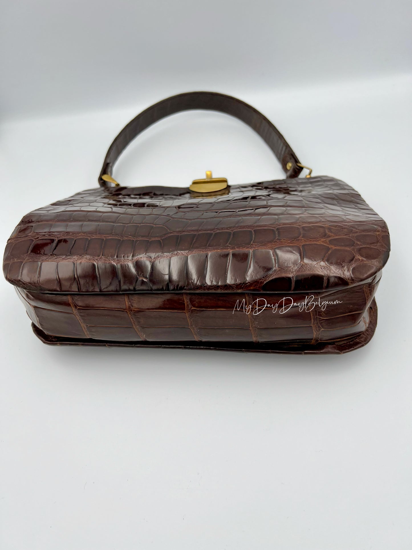 Vintage Delvaux exotic top handle 1954
