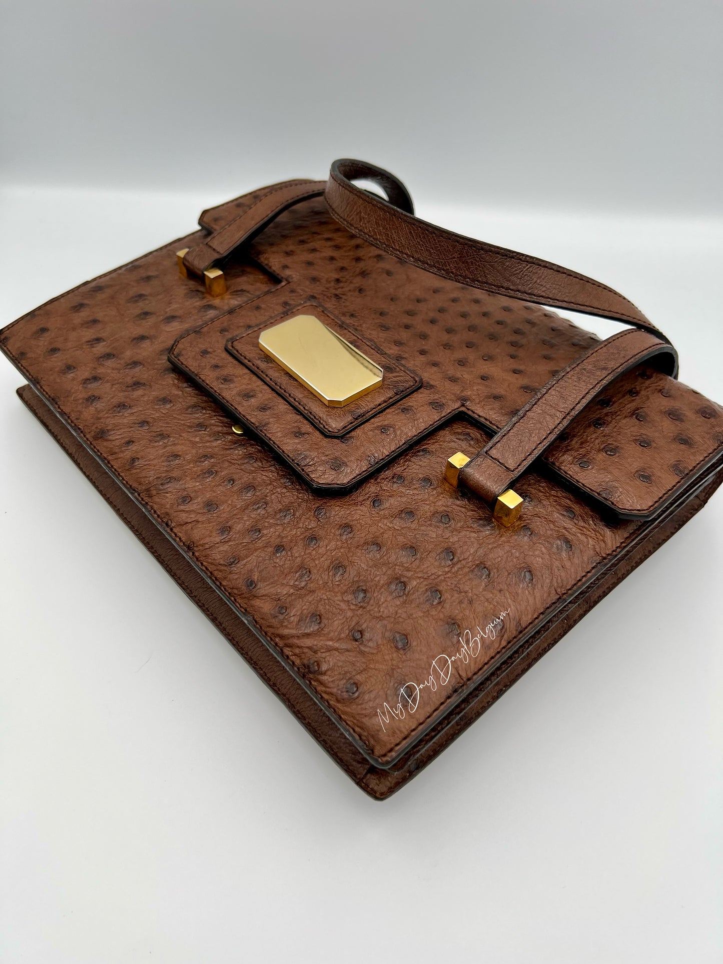 Delvaux ostrich 1976 shoulder/top handle bag