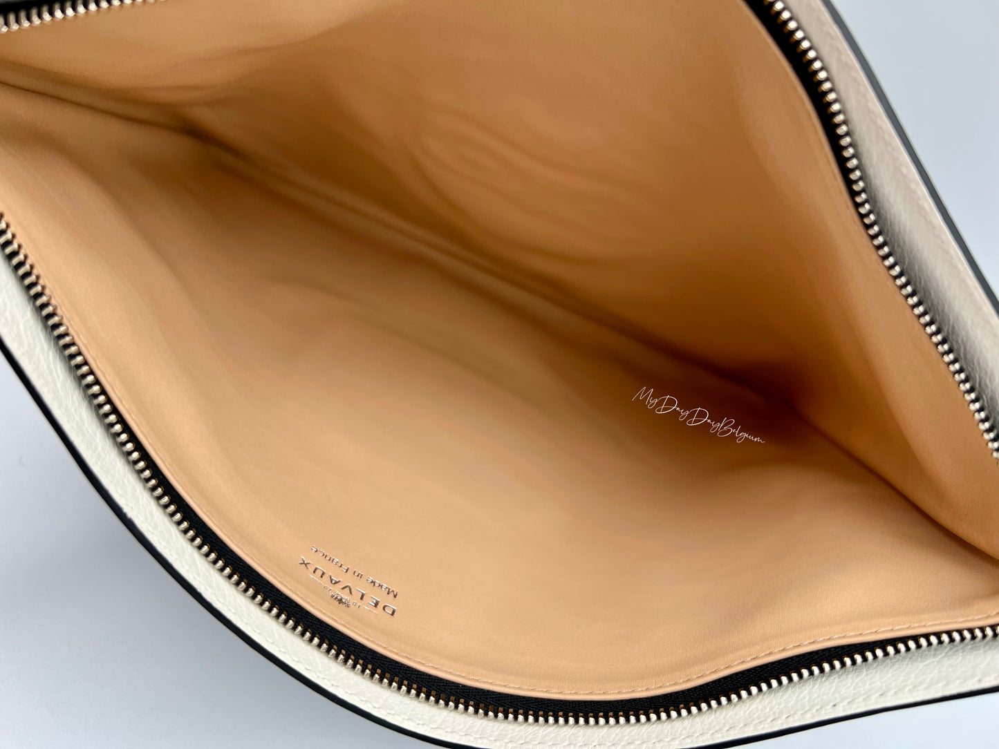 Delvaux Magritte Masquée pouch 2015