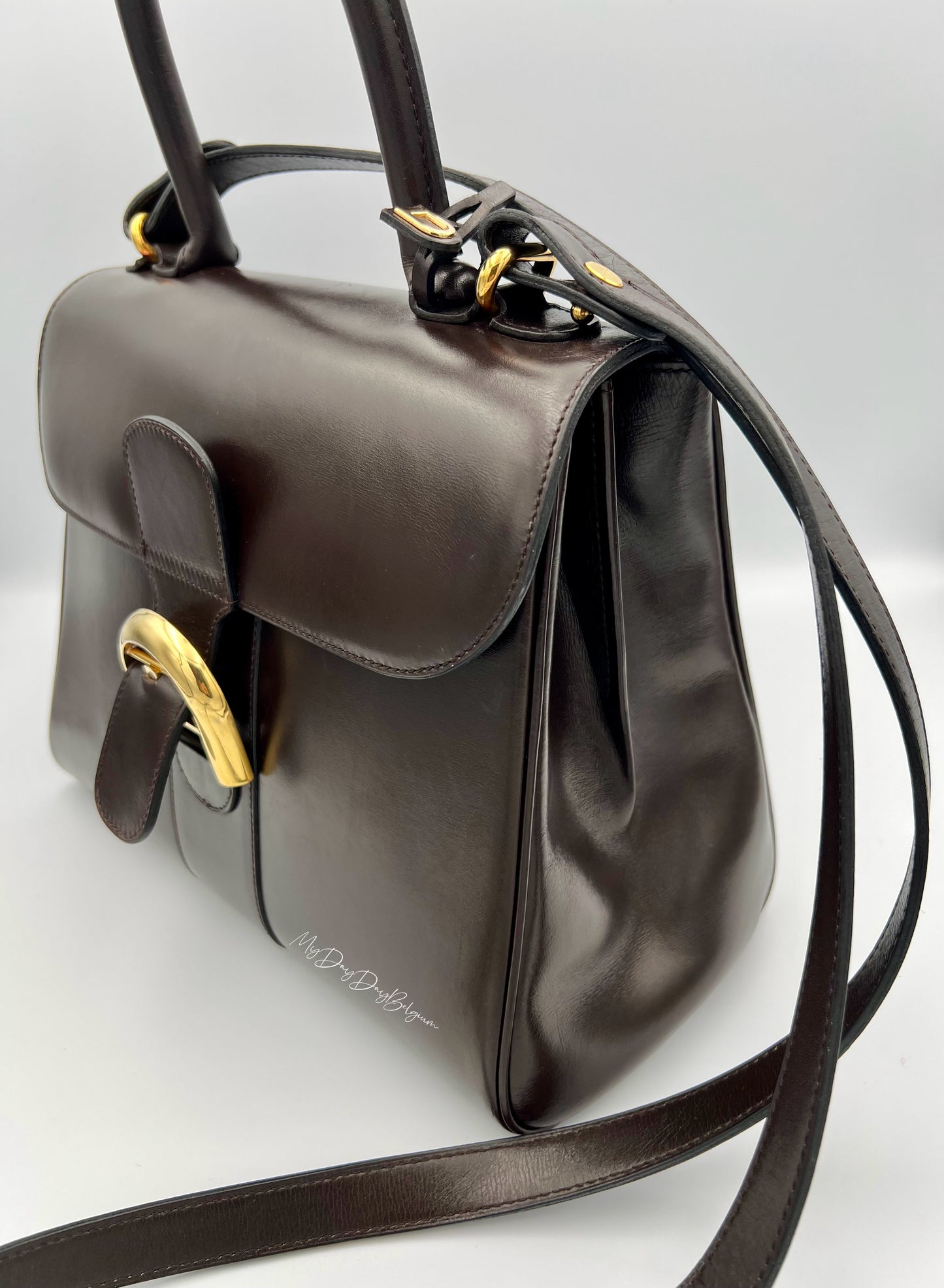 Delvaux Brillant MM in brown