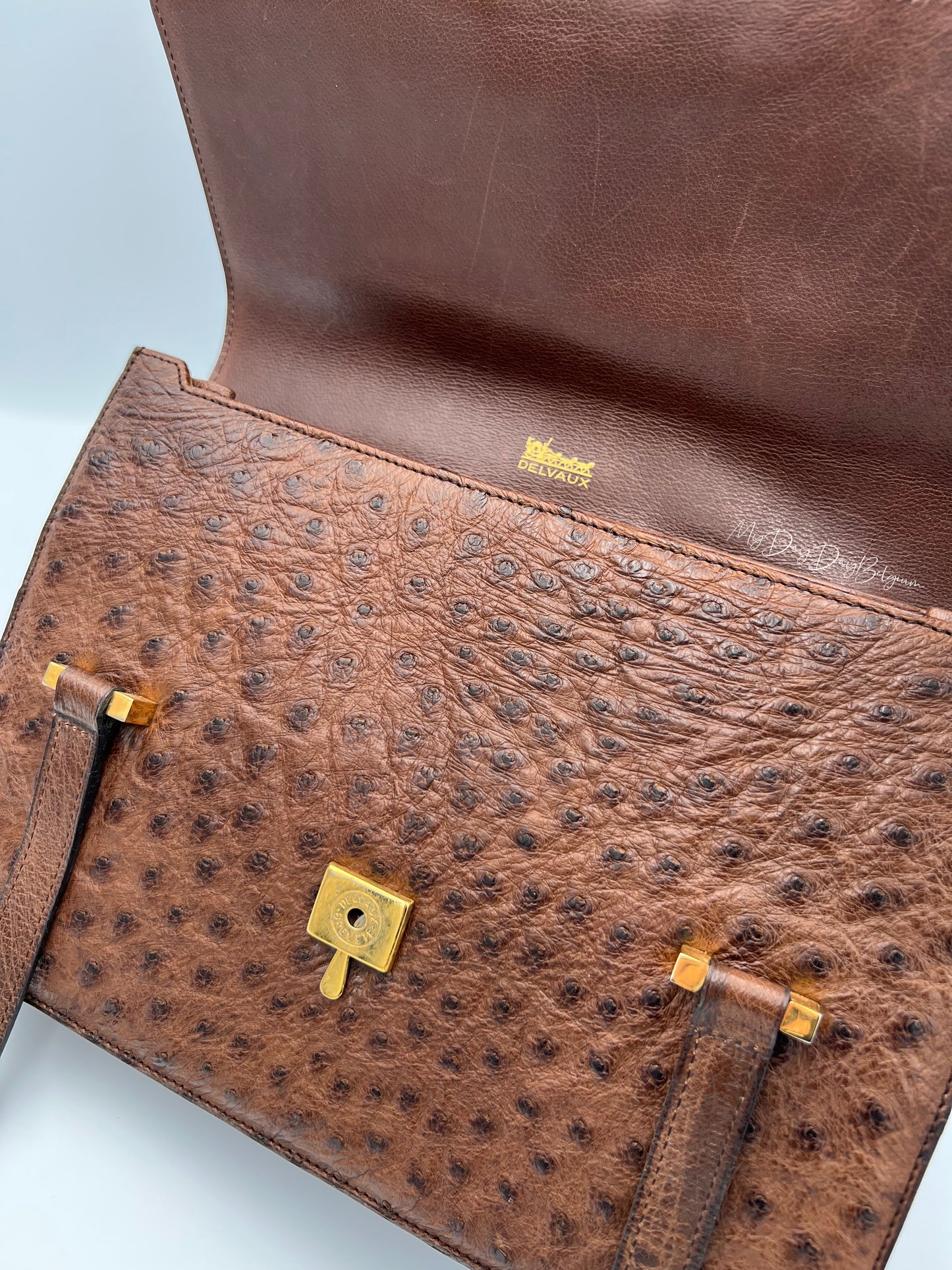 Delvaux ostrich 1976 shoulder/top handle bag