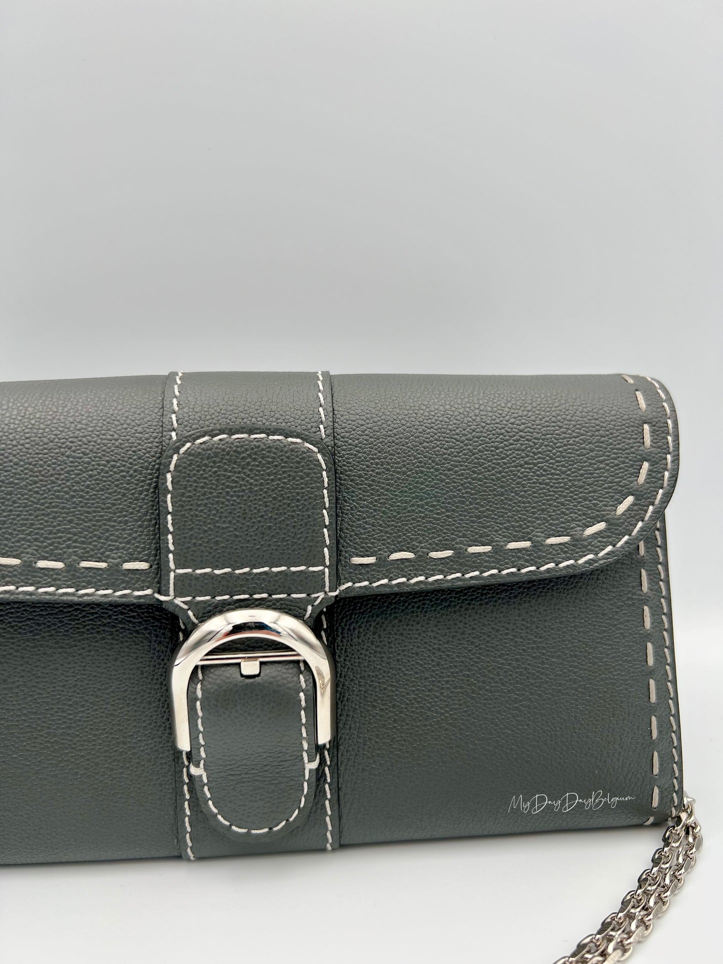 Delvaux Brillant Wallet on Chain Crossbody / Shoulder Bag stone 2023