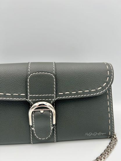 Delvaux Brillant Wallet on Chain Crossbody / Shoulder Bag stone 2023