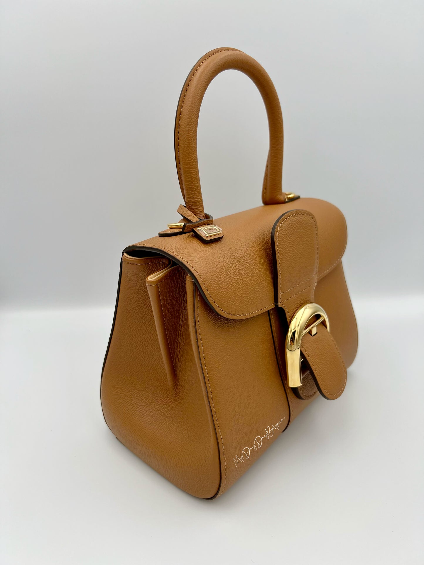 Delvaux Brillant Mini