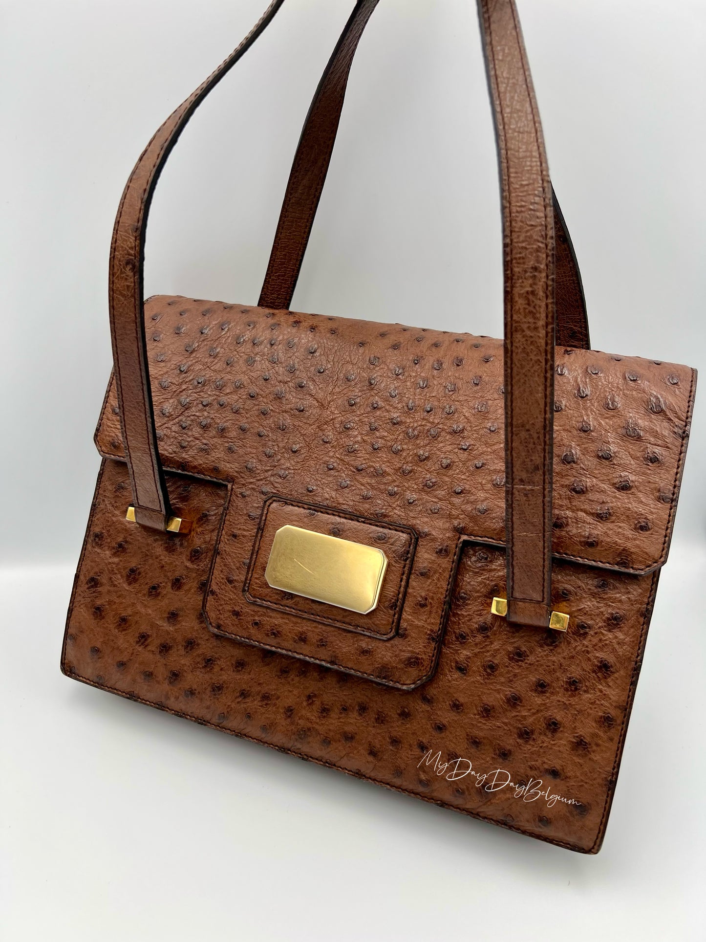 Delvaux ostrich 1976 shoulder/top handle bag