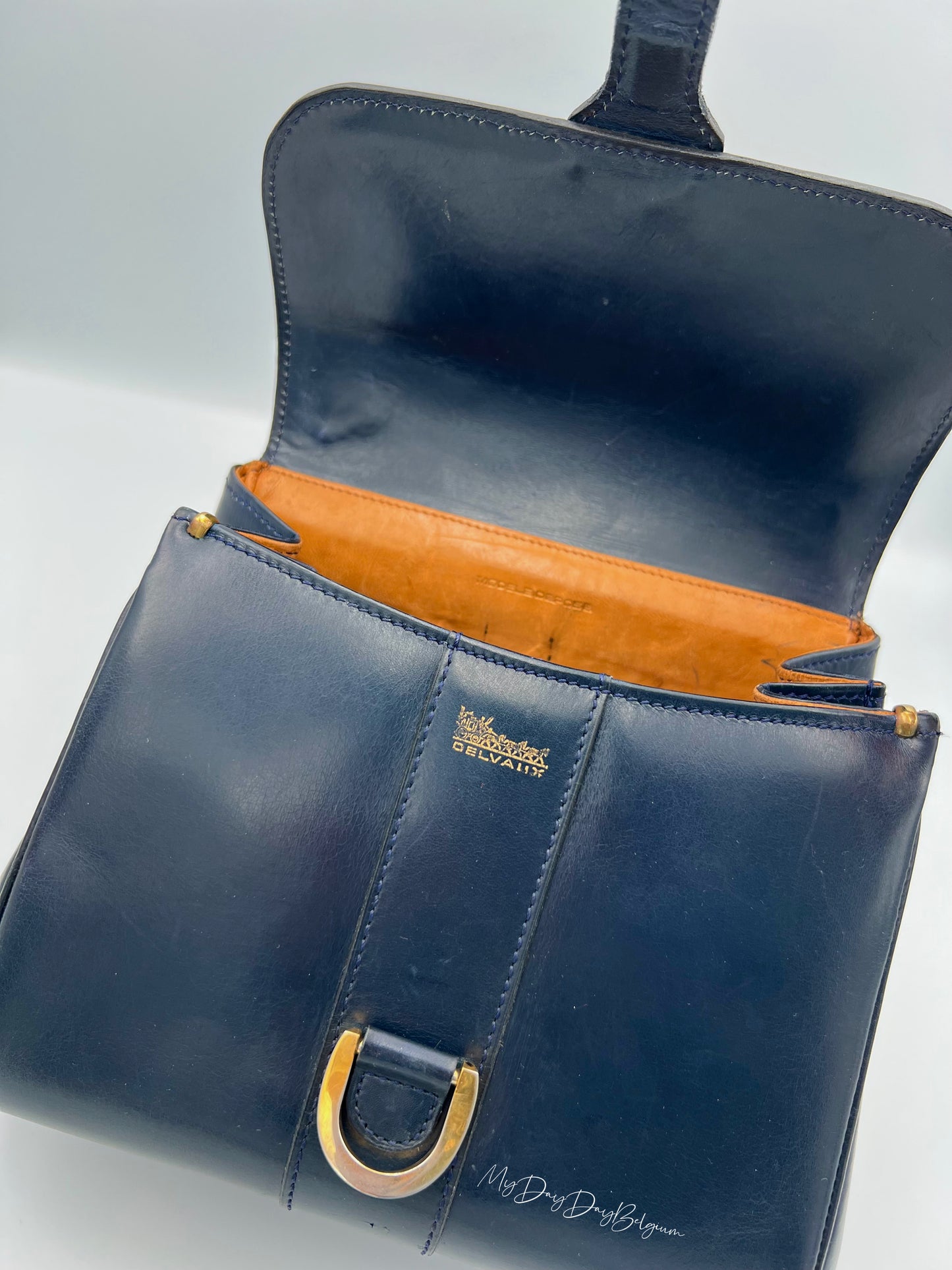 Vintage Delvaux Brillant 1966 special edition