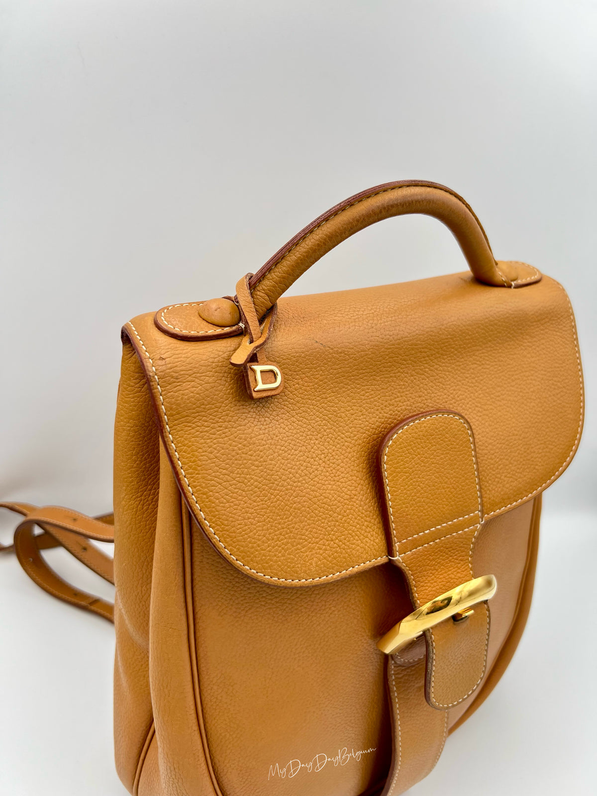Delvaux Cristal de Roche Trotteur fauve Rucksack 2002