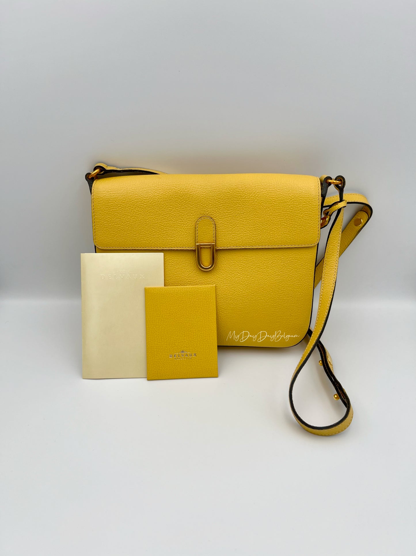 Delvaux crossbody in jumping leather pollen colour 1980s