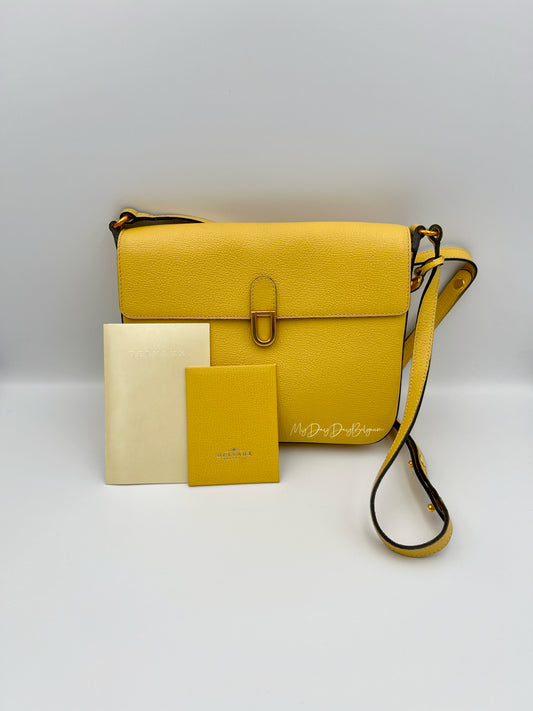 Delvaux crossbody in jumping leather pollen colour 1980s