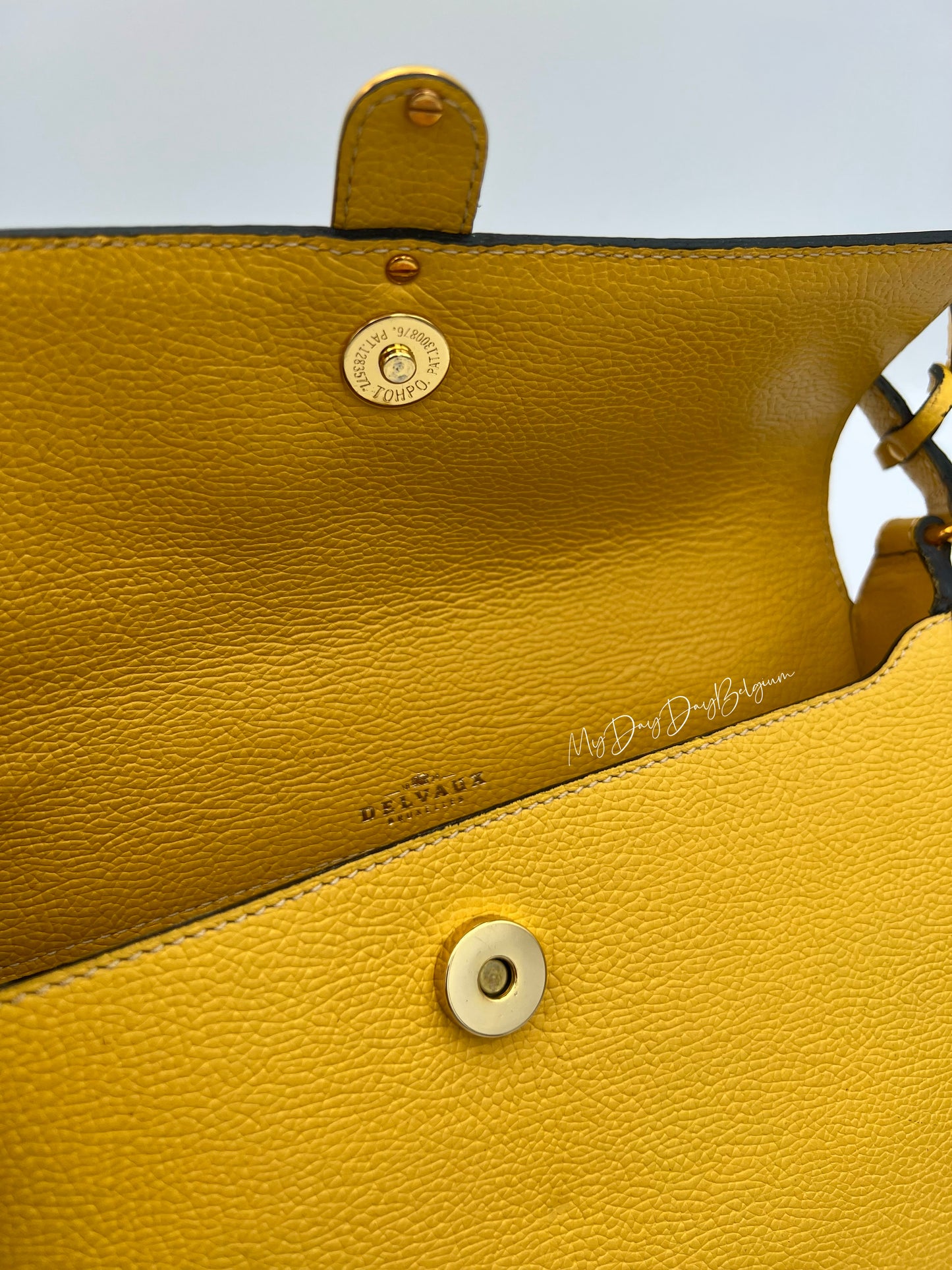 Delvaux crossbody in jumping leather pollen colour 1980s