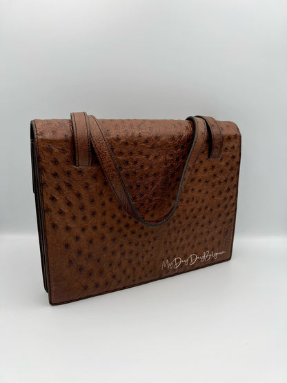 Delvaux ostrich 1976 shoulder/top handle bag