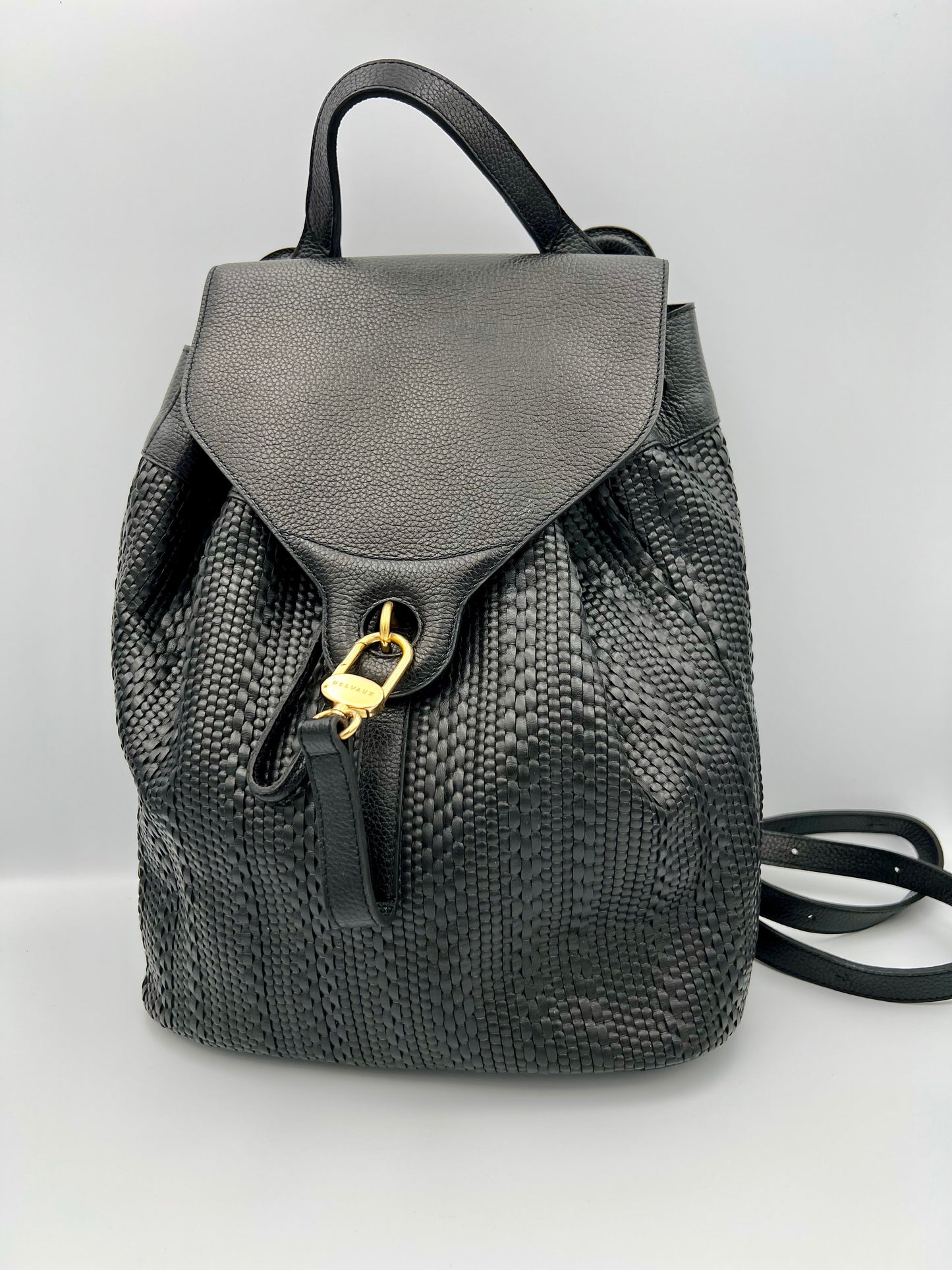 Delvaux Soleil rucksack