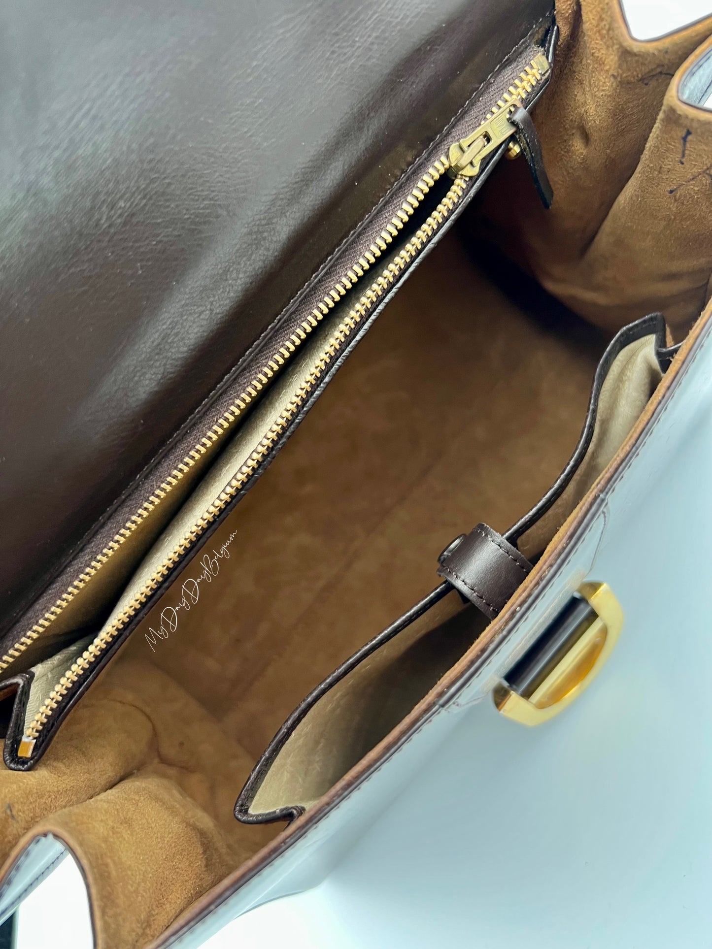 Delvaux Brillant MM in brown