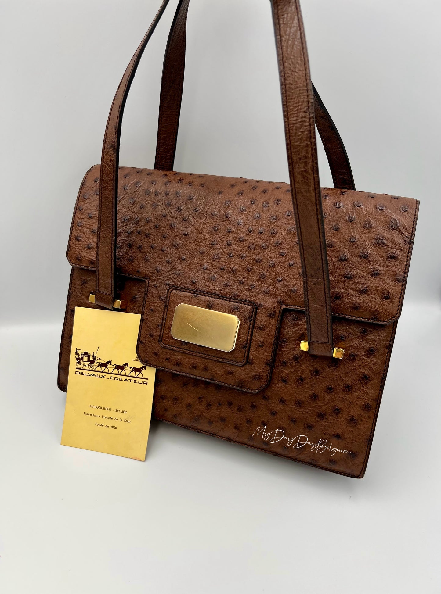 Delvaux ostrich 1976 shoulder/top handle bag