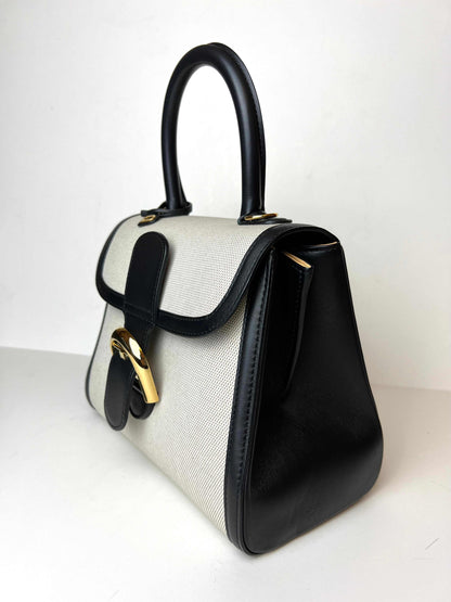Delvaux Brillant PM canvas