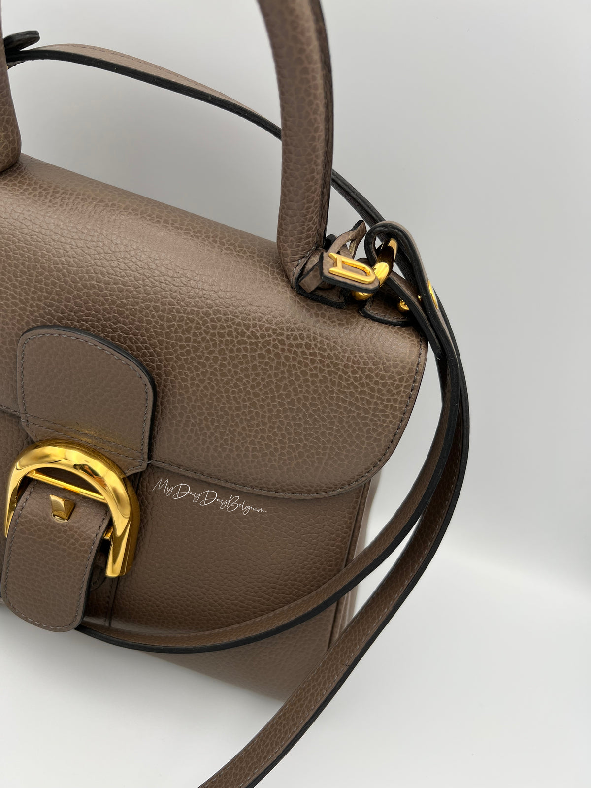 Vintage Delvaux Brillant in Taupe PM early 90s