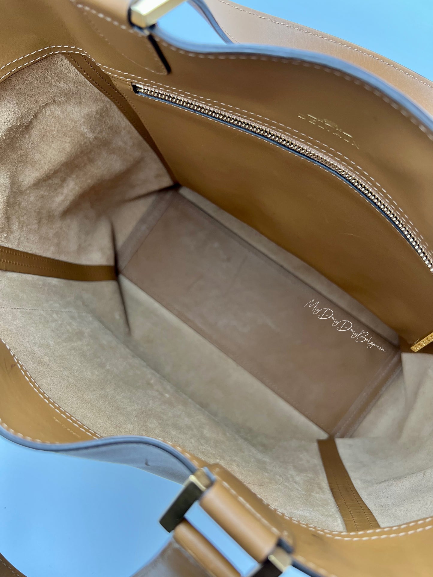 Delvaux Louise Tote Cadence bag vegetale 2015