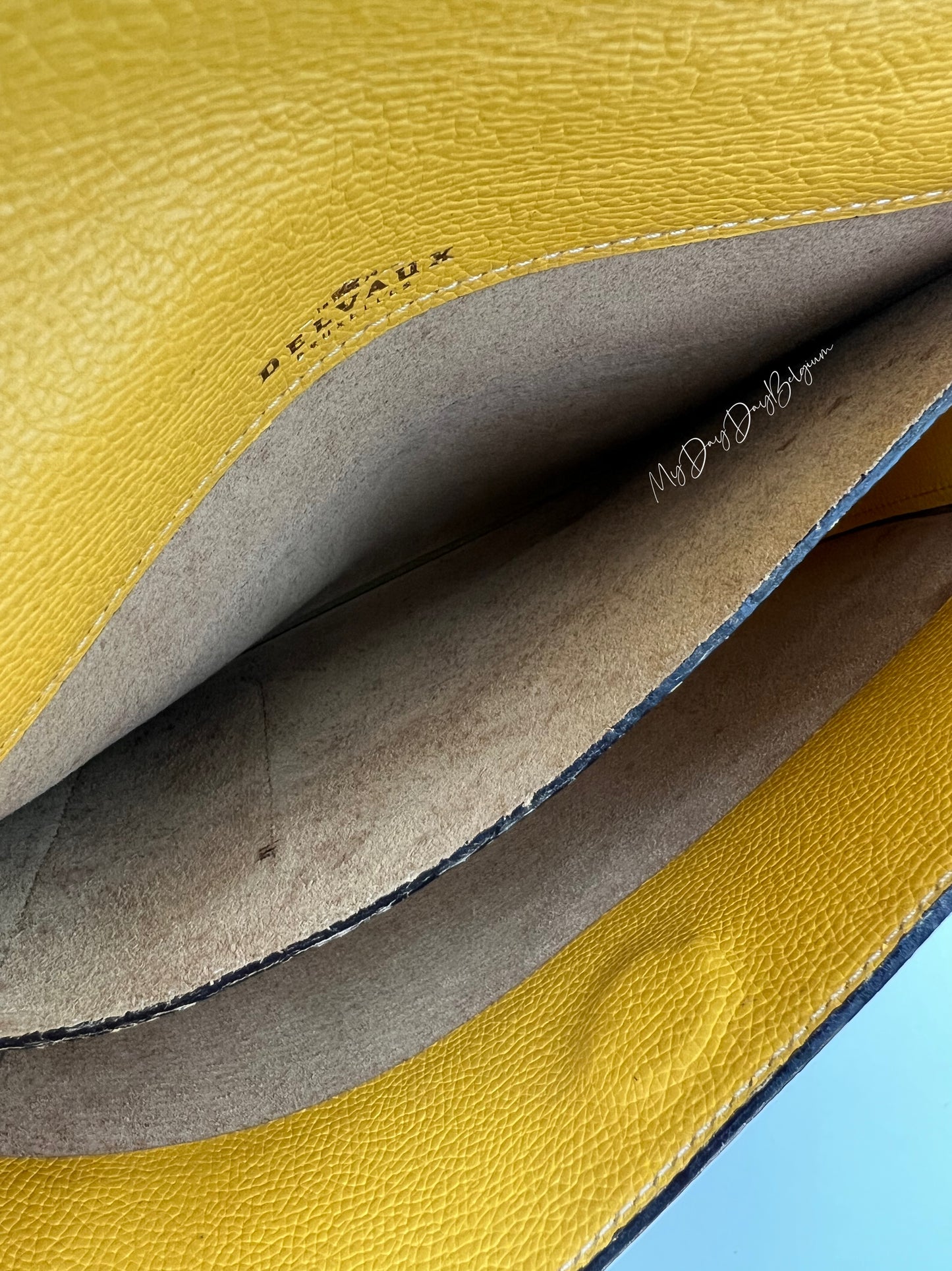 Delvaux crossbody in jumping leather pollen colour 1980s
