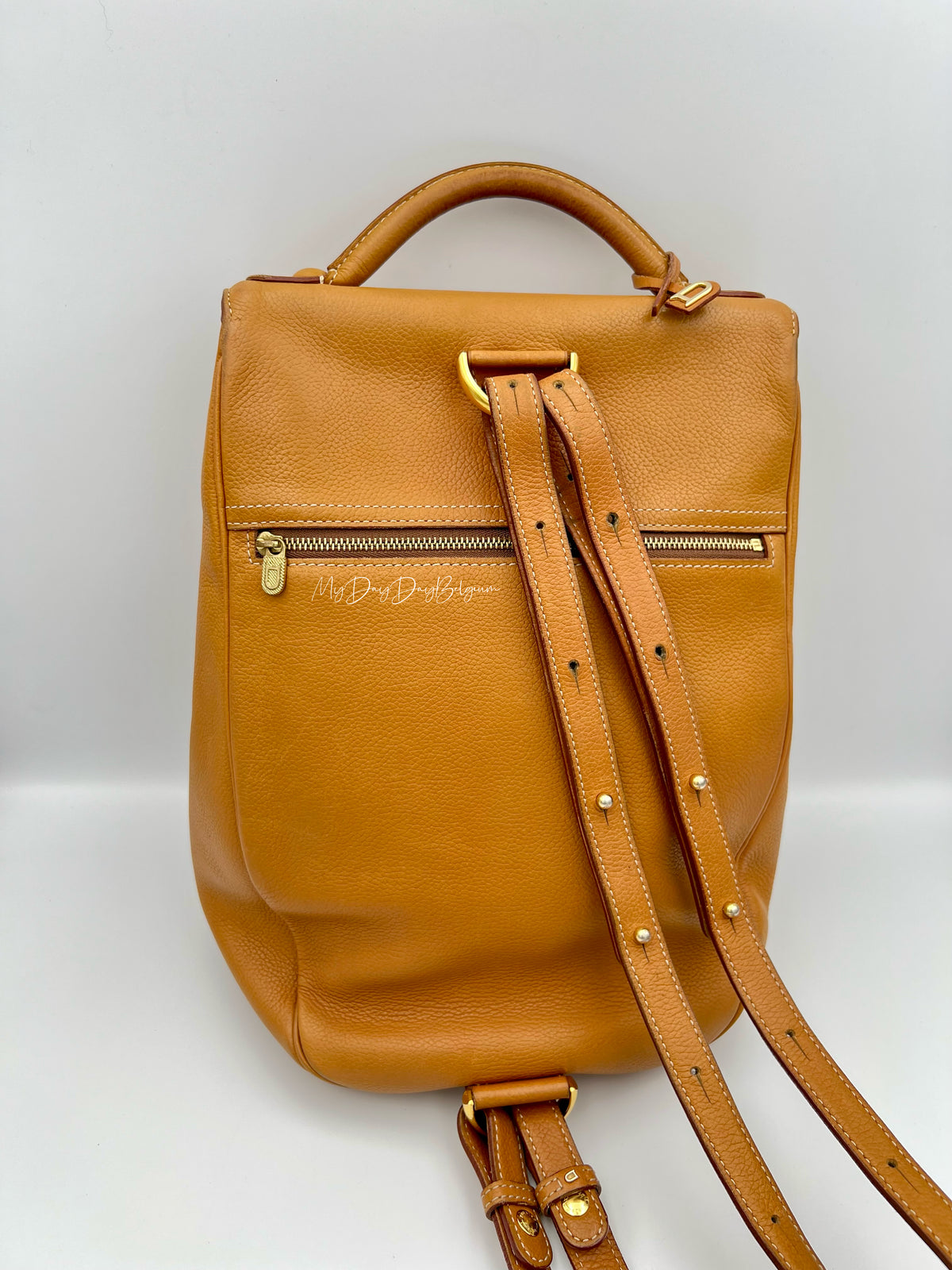 Delvaux Cristal de Roche Trotteur fauve Rucksack 2002