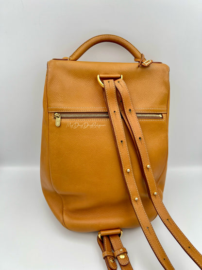 Delvaux Cristal de Roche Trotteur fauve Rucksack 2002