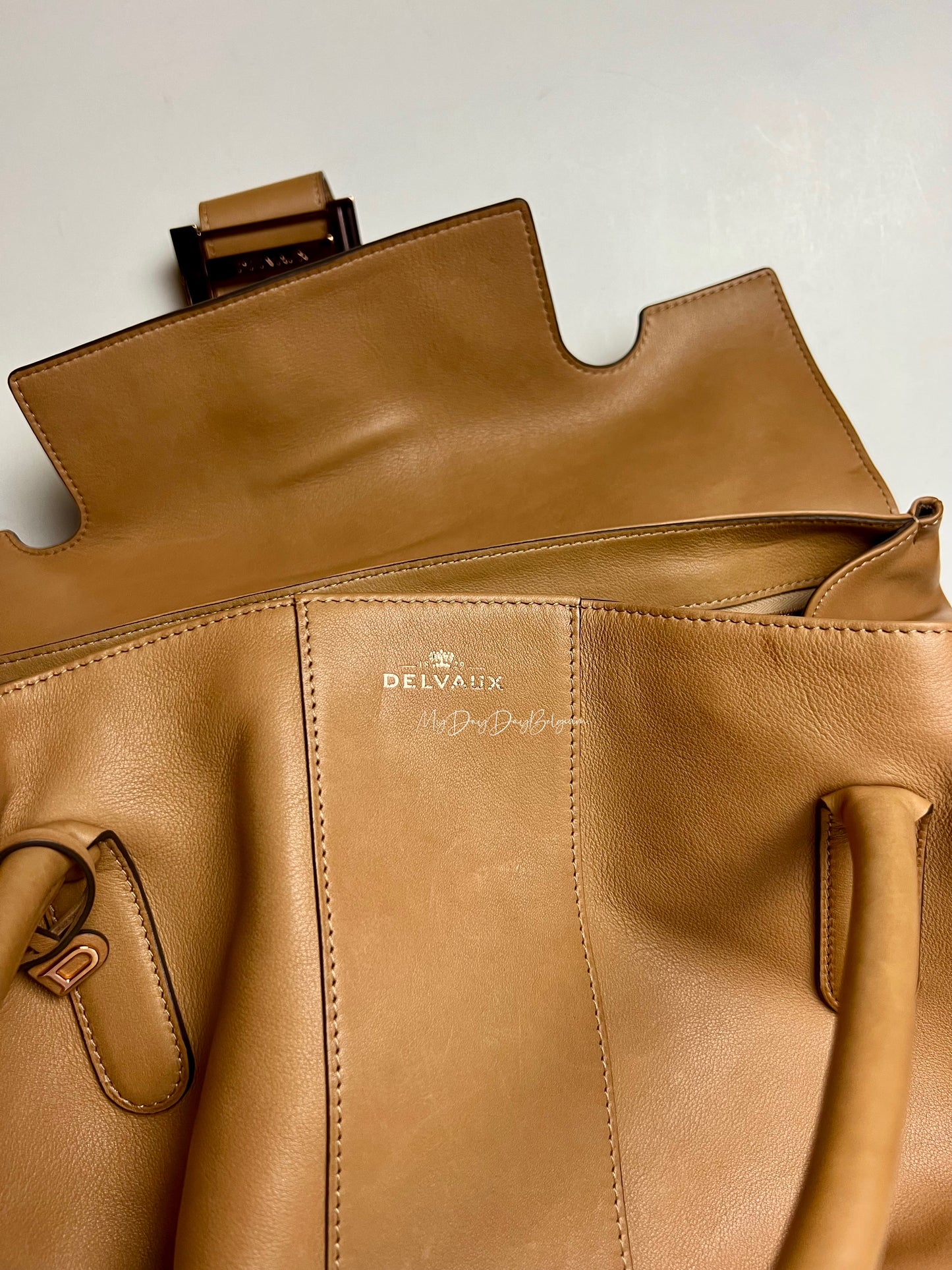 Delvaux Brillant XXL 2021 Végetal colour